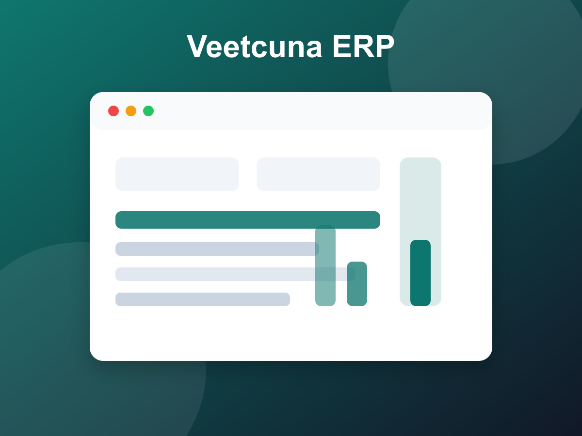 Panel de control financiero de Veetcuna